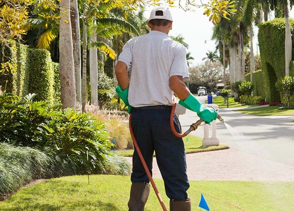About Winnabow NC Pest Control